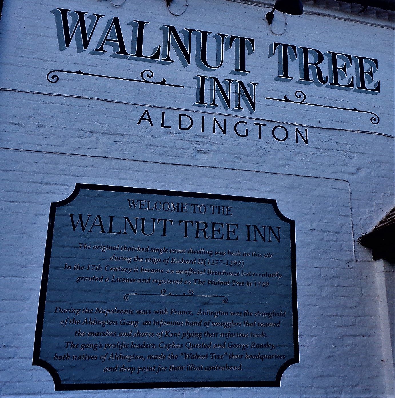 Walnut Tree